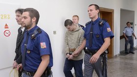 Soud potvrdil vrahovi Borčovi 16 let za mřížemi