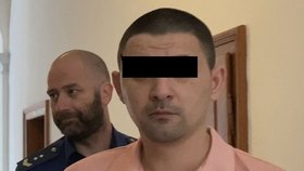 Bulhar Mihail D. se zpovídá u Krajského soudu v Plzni z pokusu o vraždu.