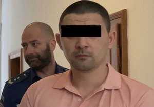 Bulhar Mihail D. se zpovídá u Krajského soudu v Plzni z pokusu vraždy.