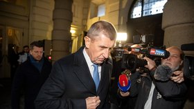 Soud Andreje Babiše kvůli kauze Čapí hnízdo (5.1.2023)