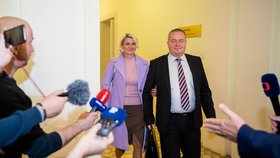 Soud kvůli kauze Čapí hnízdo: Příchod Jany Nagyové (27.9.2022)