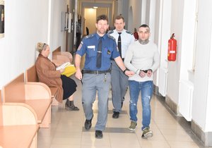 Jiří Michna (30) si u soudu vyslechl již 16. trest.