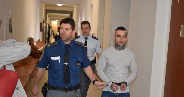 Jiří Michna (30) si u soudu vyslechl již 16. trest.