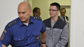 Nejvyšší soud (NS) v Brně zrušil 20. května třiadvacetiletému Lukáši Nečesanému trest 13 let vězení za pokus o vraždu, jehož se podle spisu dopustil před třemi roky v Hořicích v Podkrkonoší útokem na kadeřnici.