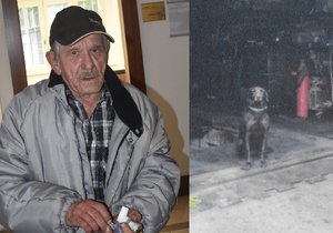 Jozef M. (70) měl kousnutí ženy jeho psem za přestupek. S odvoláním u krajského soudu neuspěl.