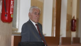 Soud s Petrem K.: Soudní znalec – patolog Jiří Štefan