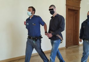 Eskorta vede k soudu Petra S. (30), jehož pes pokousal policisty.