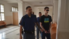 Jaroslav dostal za týrání matky a malé sestry 5,5 roku vězení.