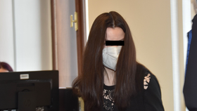 Veronika L. (37) se u Krajského soudu v Plzni zpovídá z týrání svého syna (4 měsíce). Měla mu podle obžaloby zpřelámat ruce a poškodit mozek.