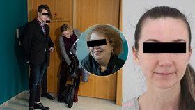 23. ledna mělo dojít k zahájení soudního procesu s únosci malé Sofinky, kterou dva muži unesli babičce v Uhříněvsi. Líčení bylo odročeno. Hlavní obžalovaná, která za celým únosem stála, totiž odmítla přijít.