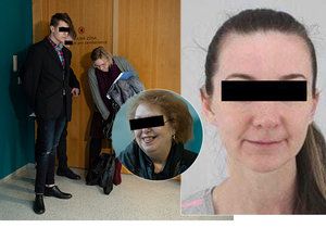 23. ledna mělo dojít k zahájení soudního procesu s únosci malé Sofinky, kterou dva muži unesli babičce v Uhříněvsi. Líčení bylo odročeno. Hlavní obžalovaná, která za celým únosem stála, totiž odmítla přijít.