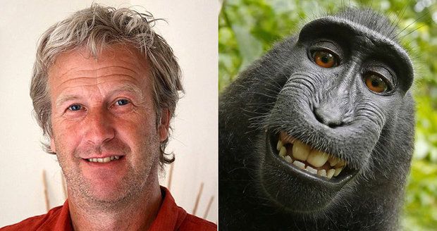 Opici, která si udělala selfie, nenáleží autorská práva. Rozhodl tak americký soud.