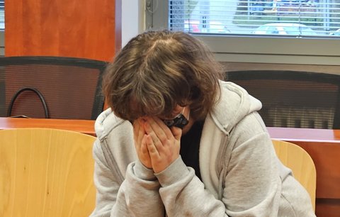 Pláč v soudní síni: Mladá žena dostala osm let za přípravu vraždy v obchodním centru