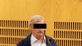 Šílený senior (68) vystřelil na 14letého chlapce a děti: „Chtěl jsem je jen vystrašit," hájil se u soudu