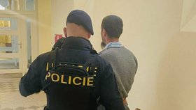Pobodaná žena z lavičky v Plzni zemřela: Podezřelý partner jde do vazby