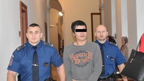U Krajského soudu v Plzni dostal Vietnamec za vraždu bezdomovce 17 let.