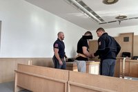 Kominík surově zavraždil seniorku: Bezmocnou ženu škrtil vodítkem a skákal jí po hrudníku! 18letý trest platí!