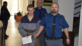 Odporný vrah a narkoman Vladislav Žyla klopil u krajského soudu zrak. Dostal 13 let.