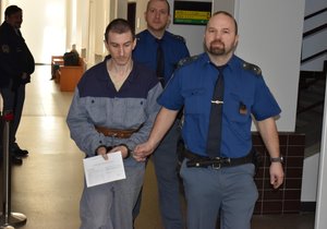 Odporný vrah a narkoman Vladislav Žyla klopil u krajského soudu zrak. Dostal 13 let.
