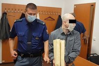 Děsivý zážitek mámy s dcerkou: Lupič je v Plzni vyhodil z auta a ujel, hrozí mu 10 let