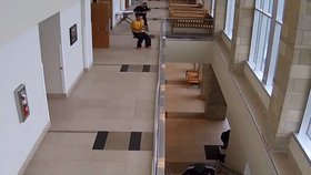 Obžalovaný muž se snažil utéct od soudu, přeskočil zábradlí schodiště