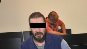 Ladislav P. (51) u Krajského soudu v Plzni, je obžalovaný ze zneužívání dětí.