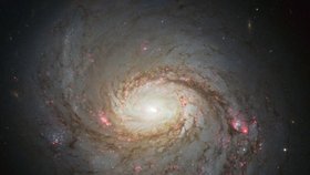 Souhvězdí Velryby na záběru z Evropské jižní observatoře