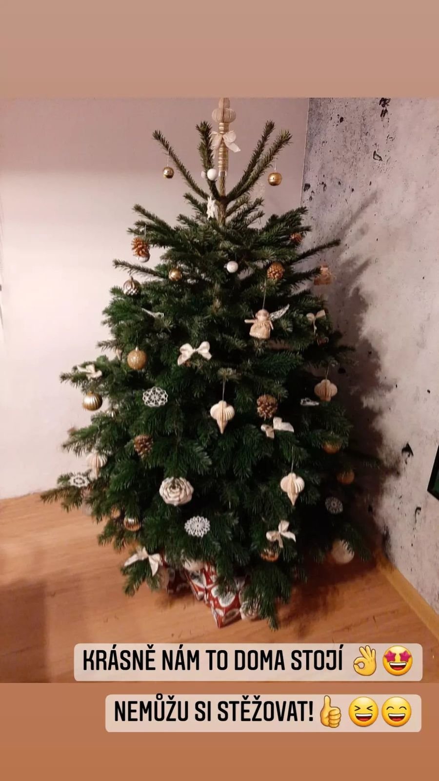 Bývalá biatlonistka Gabriela Soukalová zdobila stromeček v předvečer Vánoc.
