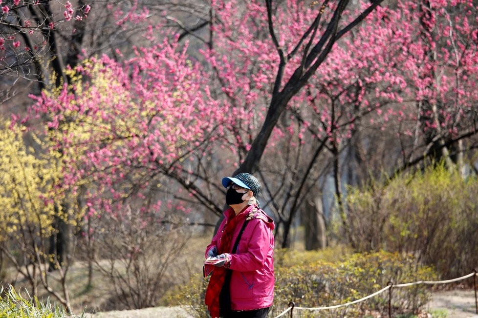 V Soulu v Jižní Koreji začalo jaro, lidé stále nosí roušky (22. 3. 2020).
