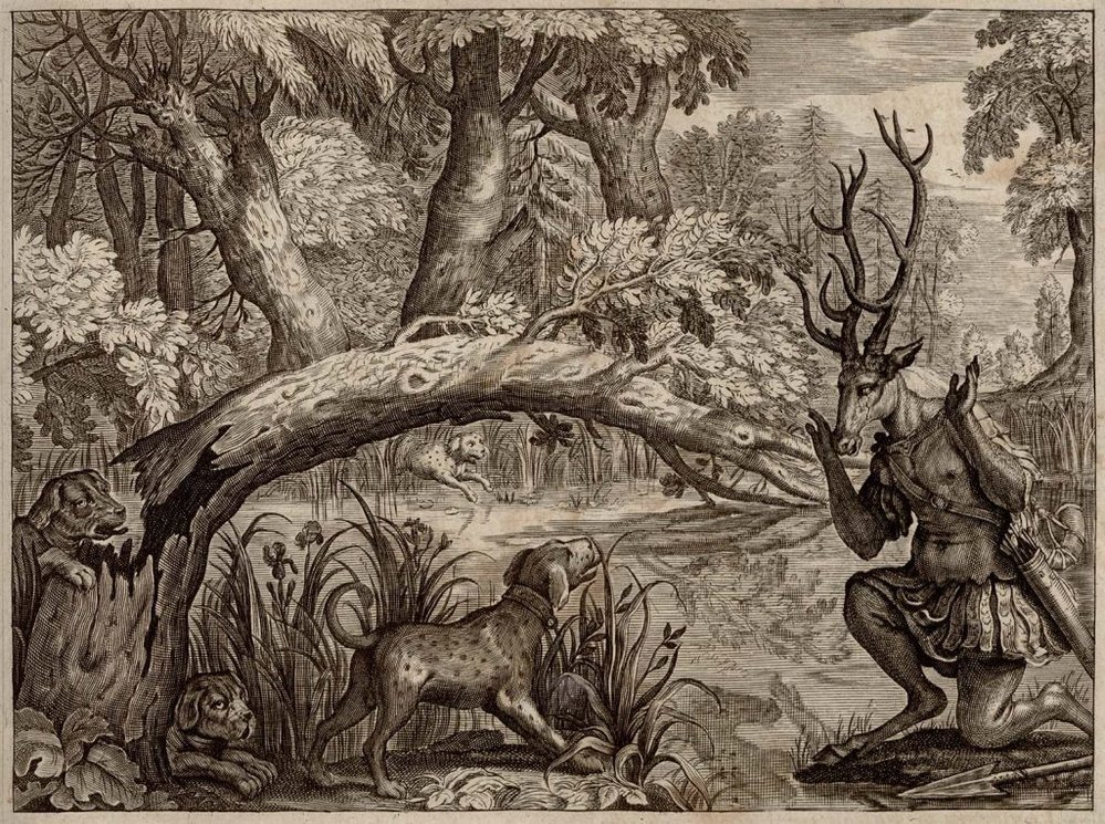 Ilustrace z loňského ročníku soutěže pochází z knihy Ovidiovy Proměny – Les Metamorphoses d’Ovide en latin et françois, vytištěné v&nbsp;Amsterdamu v&nbsp;roce 1702.