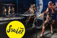 Pravidla soutěže časopisu Blesk pro ženy o vstupenky na výstavu BODY WORLDS!