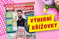 Pravidla výherních křížovek časopisu BLESKmobil Křížovky č. 2/2024