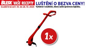 Pravidla výherních křížovek časopisu Blesk Vaše recepty č. 10/2025