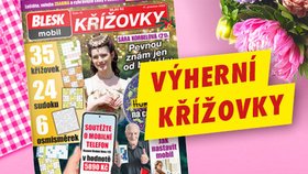 Pravidla výherních křížovek časopisu BLESKmobil Křížovky č. 10/2023