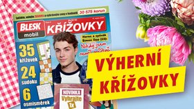 Pravidla výherních křížovek časopisu BLESKmobil Křížovky č. 8/2025