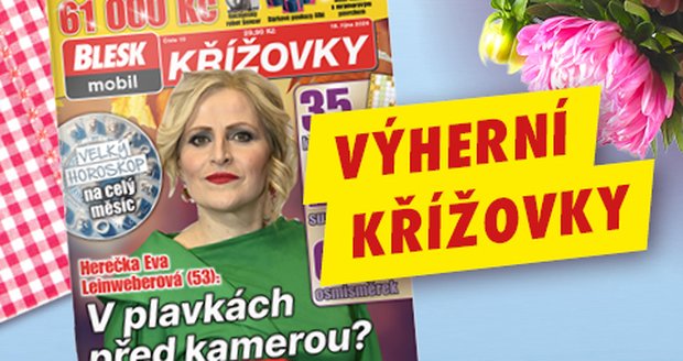 Ilustrační obrázek