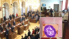 Čtyři zaměstnanci sněmovní jídelny jsou v karanténě. Nemají dost protilátek proti spalničkám. Kvůli onemocnění byla poslanecká jídelna pár dní zavřená