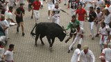 Muž (†55) ve Španělsku zemřel při slavném běhu: Rozzuřený býk ho nabral na rohy!