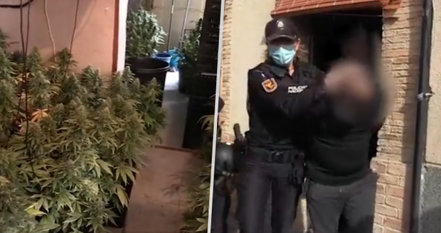 Policie zatrhla vánoční tombolu o dárkový koš: Obsahoval alkohol, šunku, kokain a hašiš!