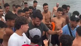 Migranti v Ceutě zabili mládě delfína.
