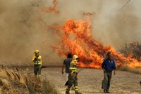 Smrtící požáry ve Španělsku: Muž pomáhal s hašením, začal hořet. Z Madridu nejezdí část vlaků