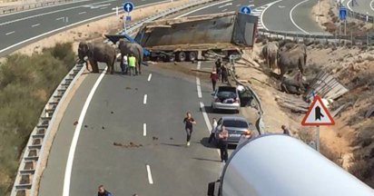 Ve Španělsku se převrátil cirkusový kamion se  slony