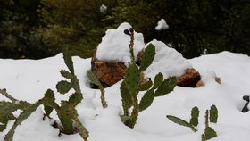 Dovolenkový ráj Čechů zasypal sníh: Na Mallorce napadlo přes 30 centimetrů