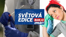 „Hledá se uklízečka. Zn.: Vyléčená korona výhodou.“ Poptávka po „promořené“ síle roste