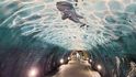 Túnel de Laredo je vymalován graffiti ve stylu podmořského světa
