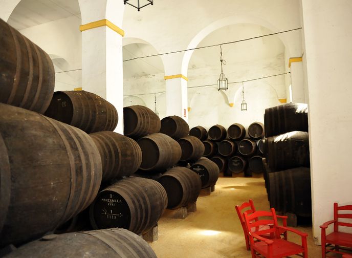 Cádiz je místem, odkud pochází Sherry. Fortifikované víno ze speciálních odrůd bílých hroznů, které se nechá plně prokvasit, a poté se do něj přidá vinný destilát. Tím se liší od portského vína, ve kterém je nižší podíl cukru.