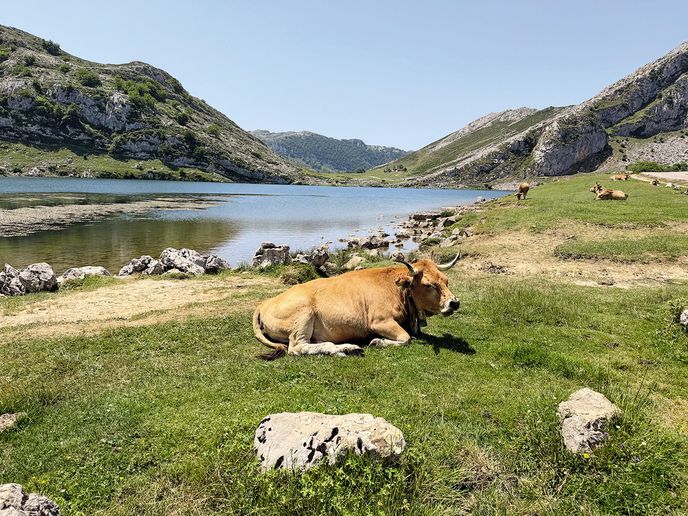 U jezera Enol se klidně můžete rozložit a opalovat se U jezera Enol se klidně můžete rozložit a opalovat se