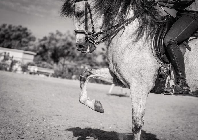 Finca El Carrascal Finca El Carrascal