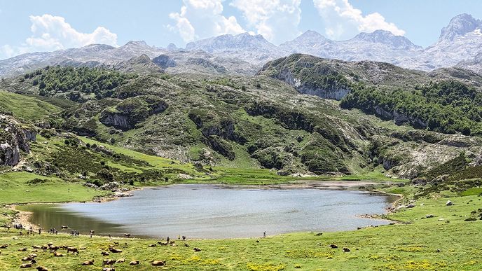 Velmi mělké jezero Ercina pomalu vysychá. Picos v pozadí však nevyschnou nikdy. Velmi mělké jezero Ercina pomalu vysychá. Picos v pozadí však nevyschnou nikdy.