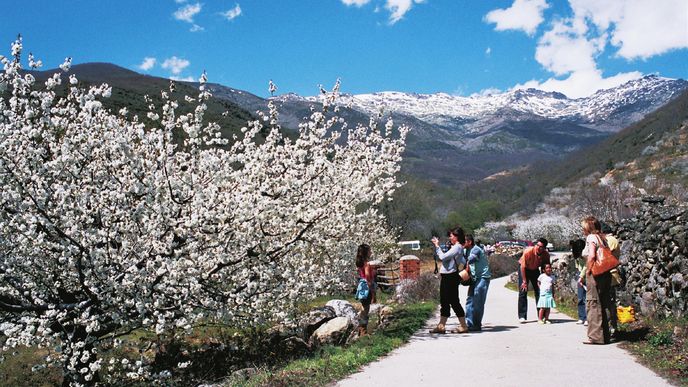 Údolí Valle del Jerte